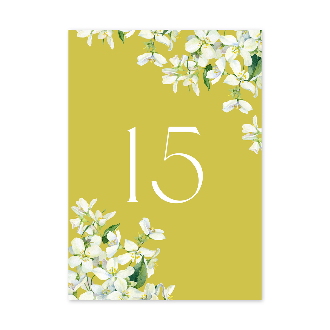 Table Number